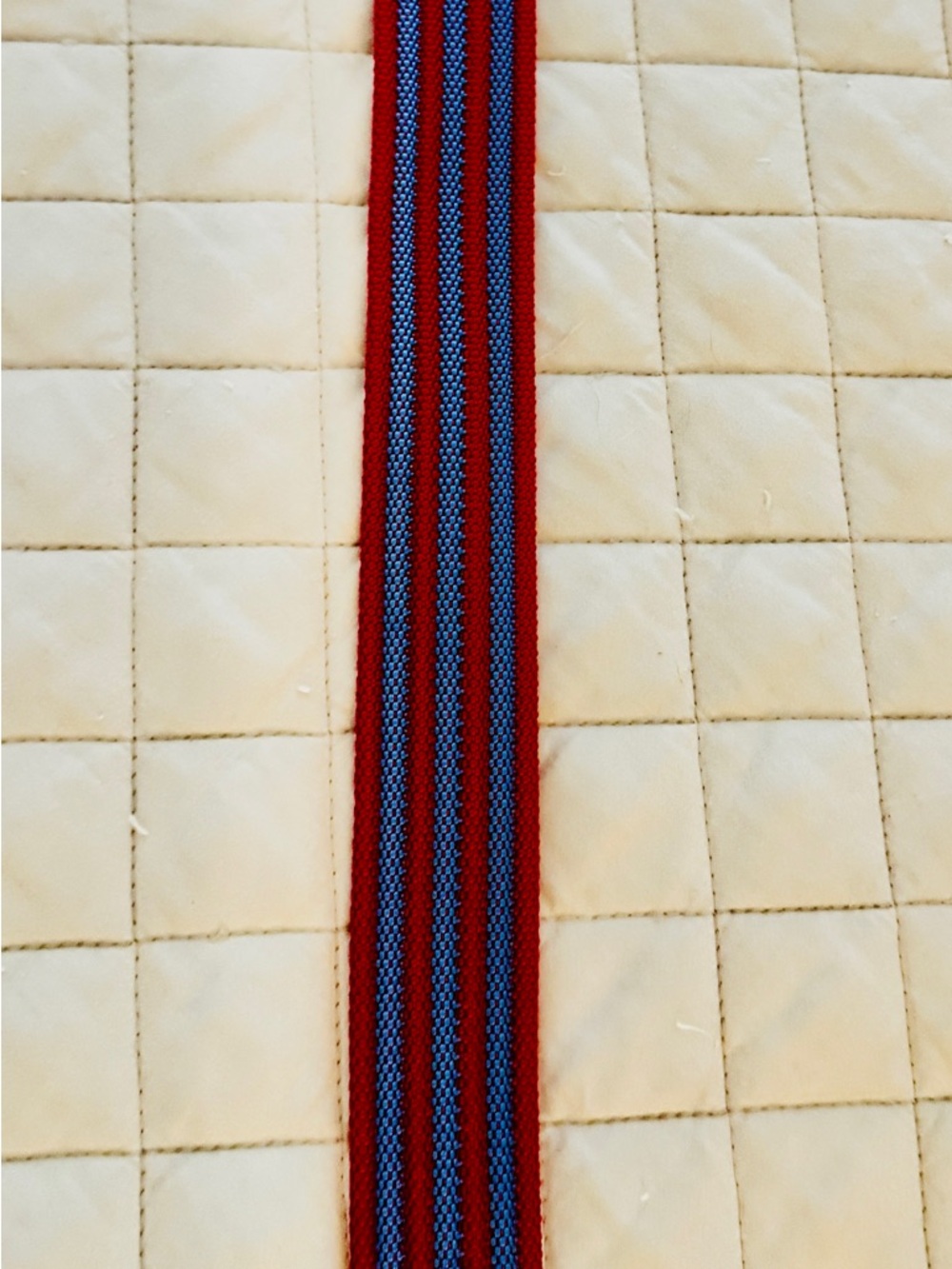Vineyard Vines Red and Blue Striped Kids Belt